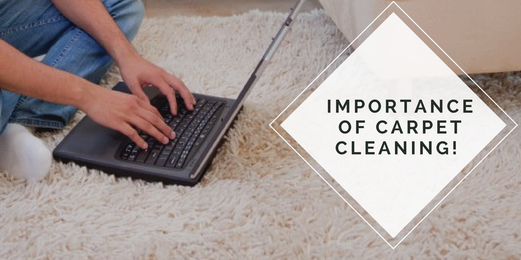 importance of Carpet Cleaning