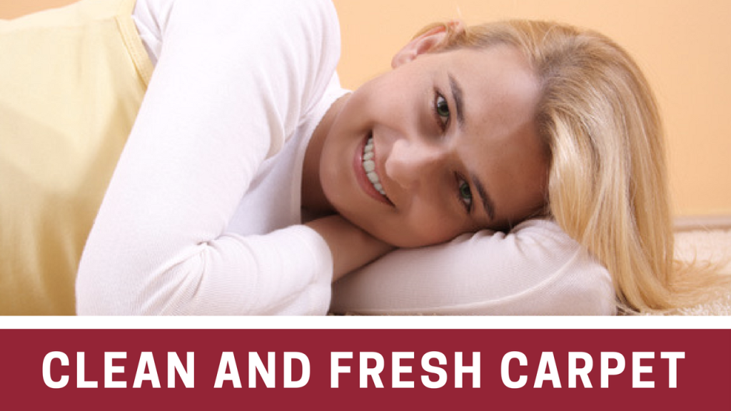 Best Professional Carpet Cleaning NYC Service