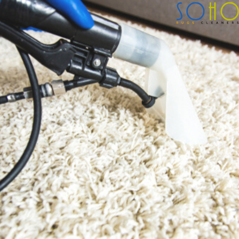 Professional Rug Cleaning: Tips For A Long Lasting Rugs