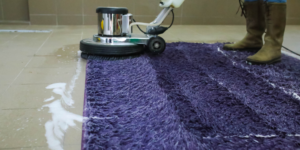 Professional Carpet Shampooing Services